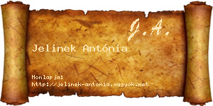 Jelinek Antónia névjegykártya